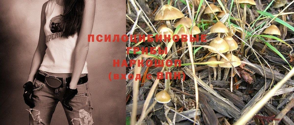 экстази Майский