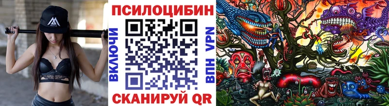 Галлюциногенные грибы мухоморы  Купить где  Дыгулыбгей 